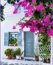 Olivo Homes imagen 10