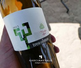 bodegas-garciarevalo-tres-olmos-01.jpg