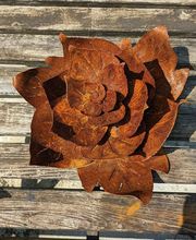 S.J. Jardins image 18