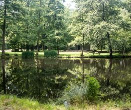 Blick über den idyllischen See im FriedWald Markersdorf.
