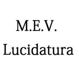 M.E.V. Lucidatura logo