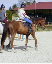 Manège du Mont Bild 1