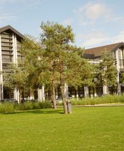 Cosy Immobilier image 1