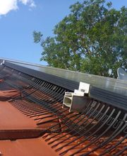 Taubenschutz & Consulting Bild 7