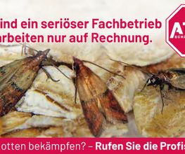 ATOX Schädlingsbekämpfungsfachbetrieb Bild 6