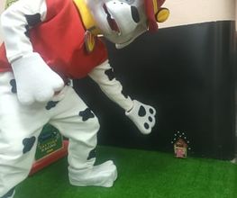 302152954-1-smjPgsB1de1748529149027.jpeg