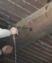 TBPH image 18