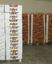 CEBESTUR,S.L. imagen 12