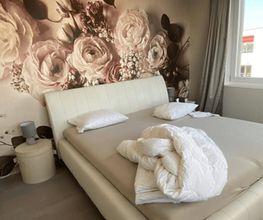 Gebr. Paradiso GmbH Bild 6