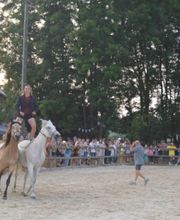 Micro Facile image 12