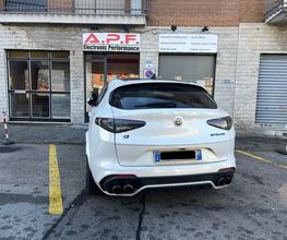A.P.F. electronic performance immagine 7