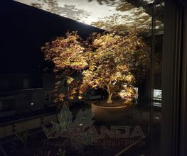 Varanda GmbH Bild 5
