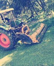 Randewig Garten- & Landschaftsbau Bild 2