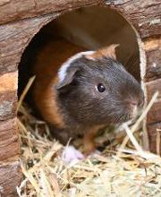 DAS FUTTERHAUS - Bremen-Weserpark Bild 14