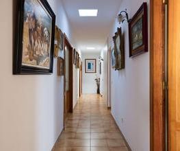 Casa Elisa Canarias imagen 16