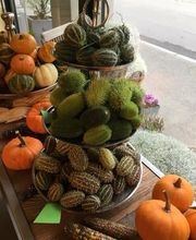 Blumen Müller Bild 4