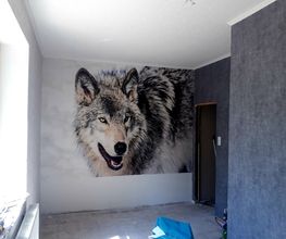 Daniel Schwarz Bild 5