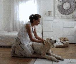 Hundephysiotherapie Touch for Dog Bild 2