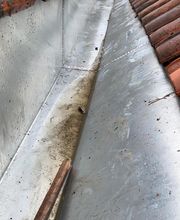 Szuper Yohan image 7