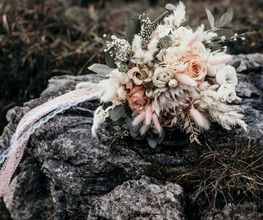 Blumen Schultz Bild 3