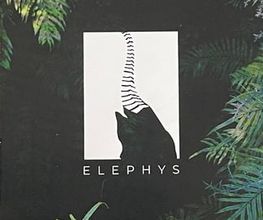 Physiotherapie und Osteopathie Elephys München Bild 1