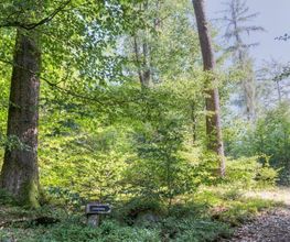 Die Wege im FriedWald Wildenburger Land sind gut ausgeschildert.
