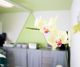KosmetikStudio BeautyLine Bild 1