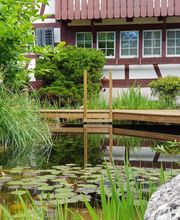 Zürich Winterthur Pflege Rasen Pfanzen