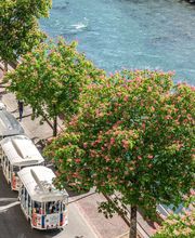 Hotel Saint Georges Lourdes Pyrenees image 4