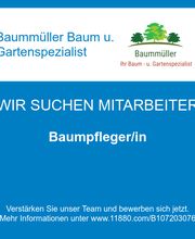 Baumpfleger/in