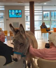 Maison à vivre Les Jardins Du Cigaloun image 2