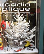 Arcadia Optique image 4