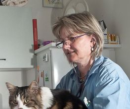 Kleintierpraxis Lindengarten Bild 2