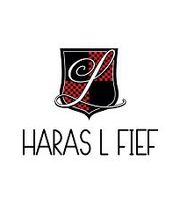 Haras L Fief image 6