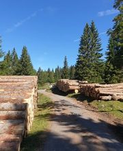 Entreprise forestière Daniel Ruch SA Bild 8