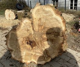 Baumdienst Behan Bild 12