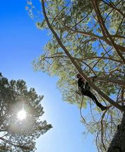 Horizon vertical image 6