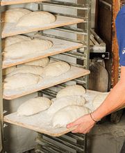 ALBERT GIRÓ imagen 18