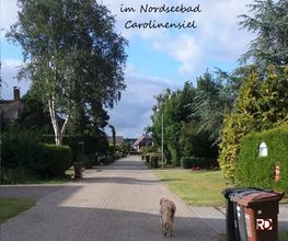Ferienhaus Dumont Bild 3
