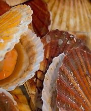 EARL BERTRAND image 1