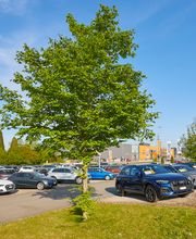 AMAG Occasions Center Oftringen Bild 1