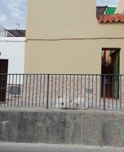 reformas.jpg