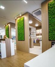 Gallery Cliente