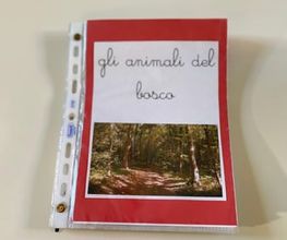 ASILO ECCOLO Bild 8