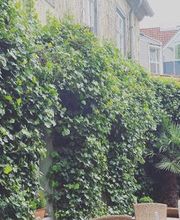 Ristorante Pizzeria Da Claudia Bild 4