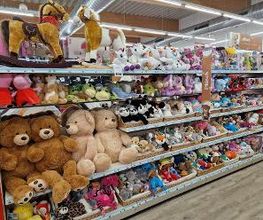 Rofu Kinderland Erding Bild 6