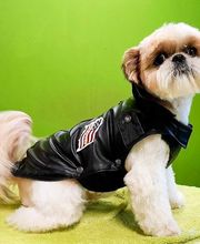 Fabre Annick image 1