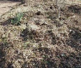 AgrEcoPaillage image 6