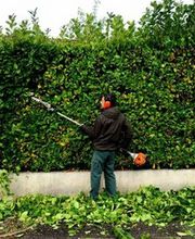 Douaire David image 9