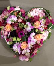 Blumen Diener Bild 7